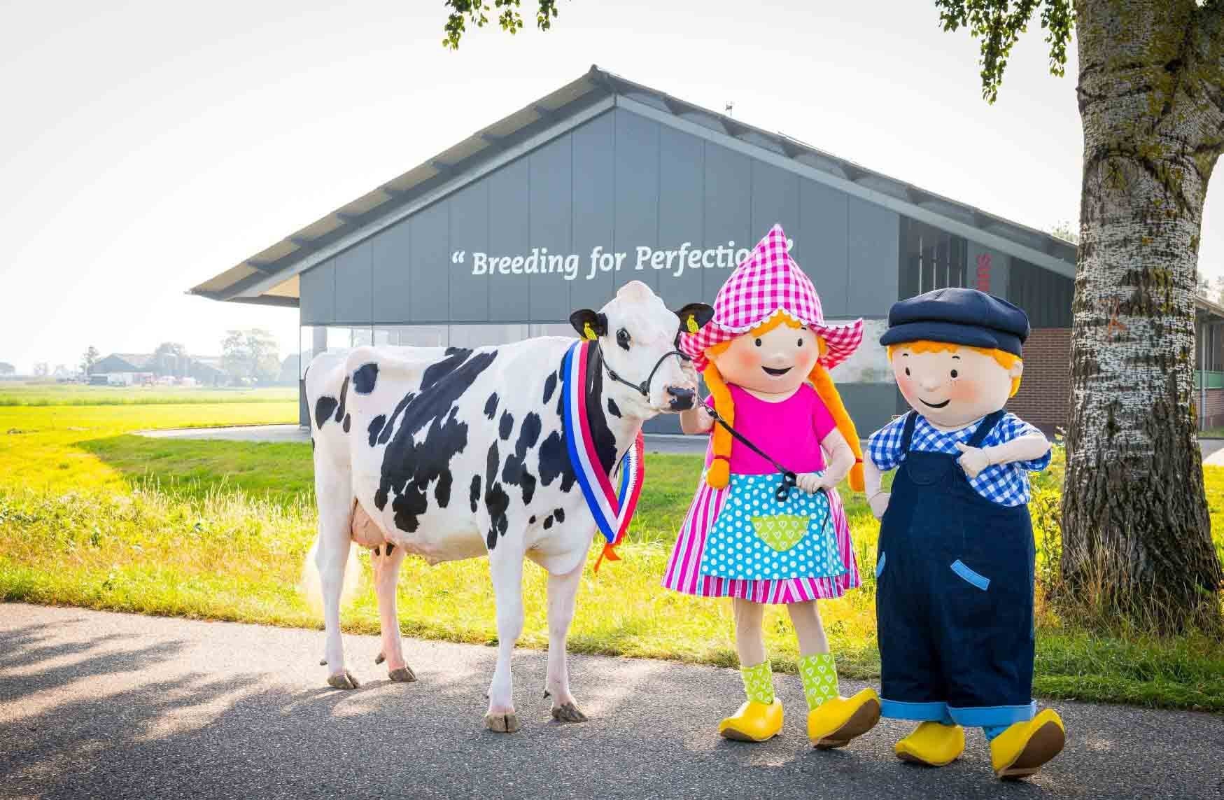 Dairy Farm Bons