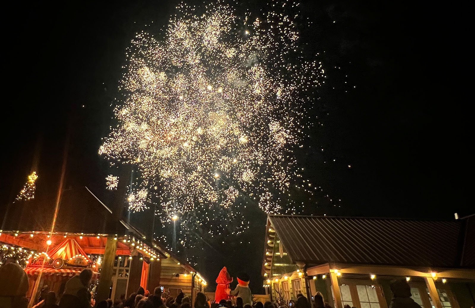 Celebrate New Year's Eve at Family Resort Molenwaard