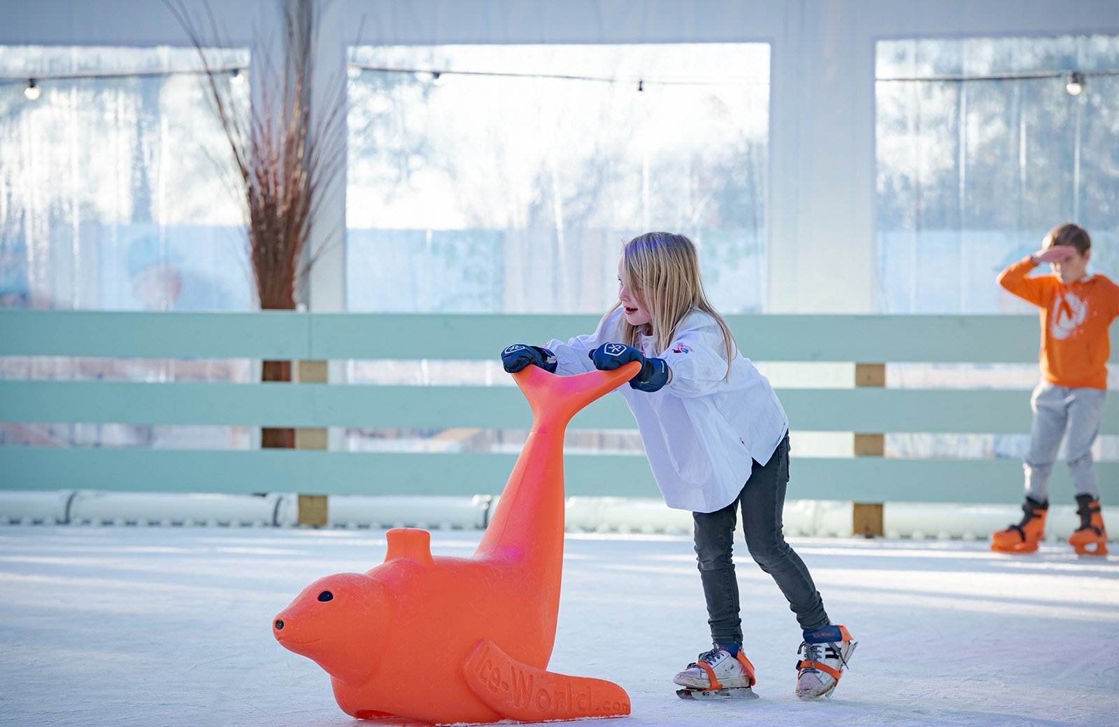 Ice rink