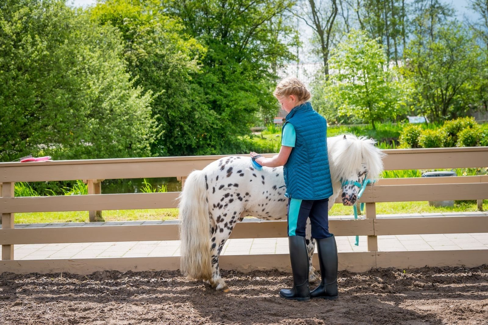 Stip the Pony Ranch