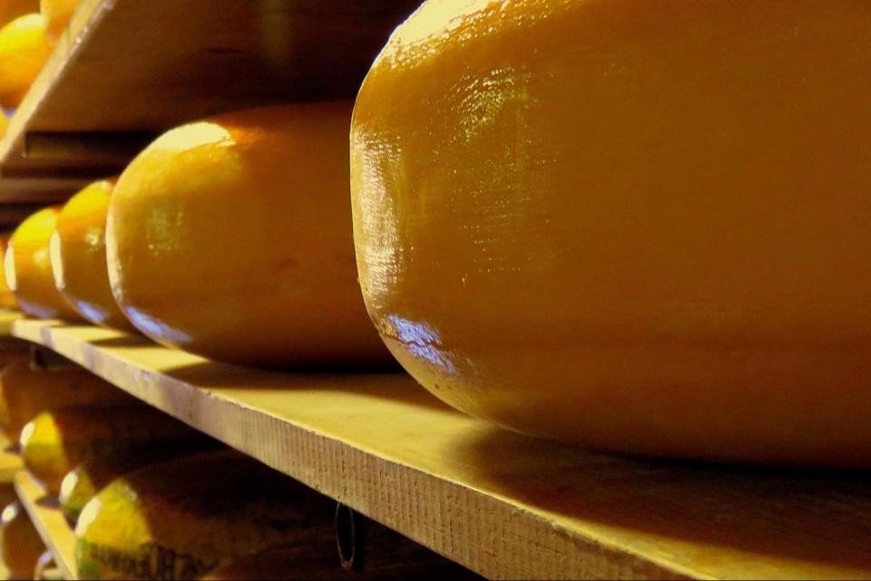 Cheese Farm's