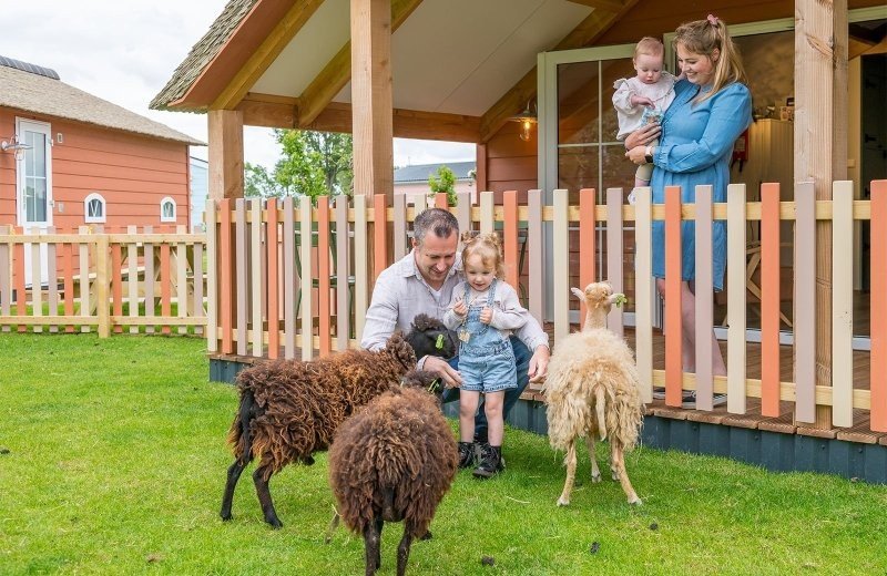 Mike & Molly Schaapskooitje (6 persons)