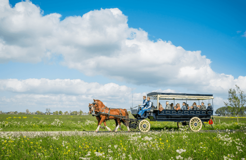 Horse Tram Excursion (starting from Easter)