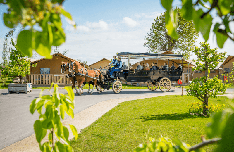 Paardentram familie resort molenwaard