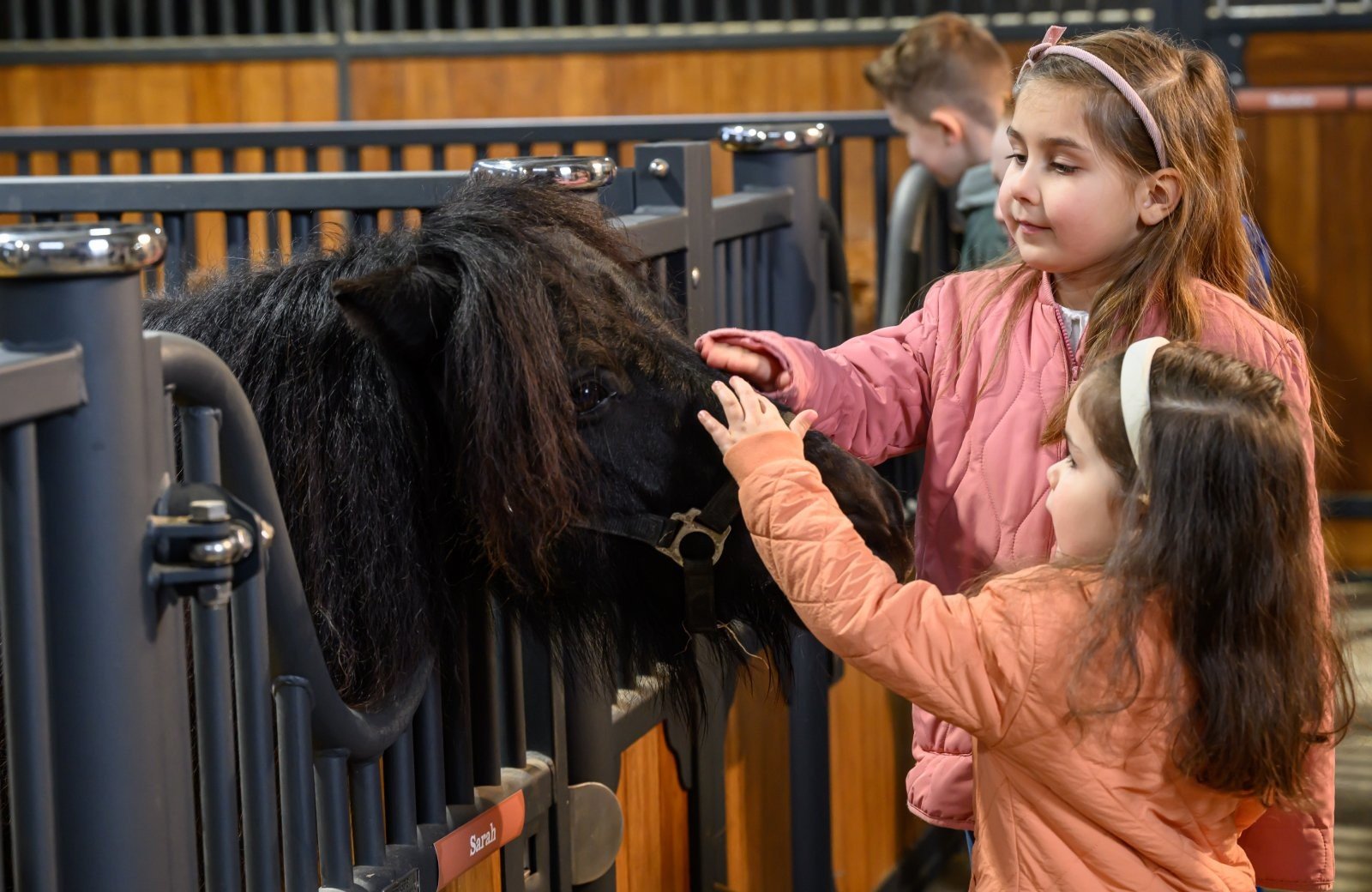 Stip de Pony Ranch