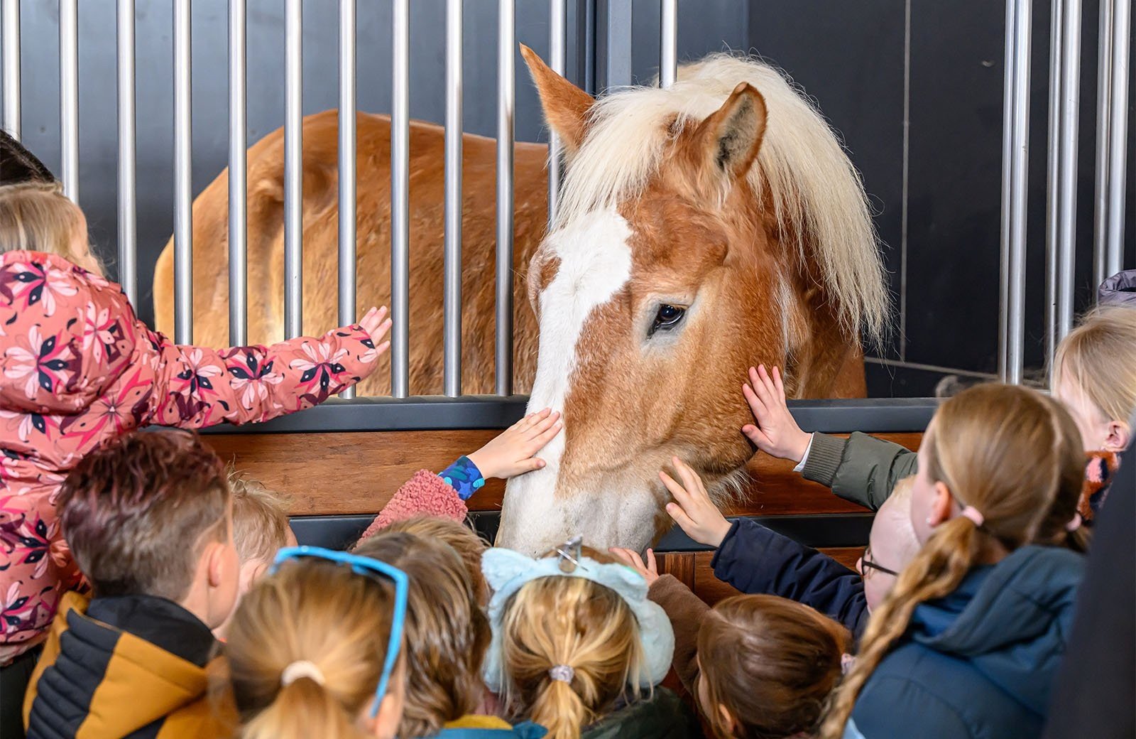 Stud Molenwaard