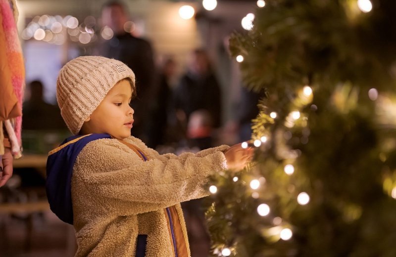 Winter sfeer Familie Resort Molenwaard